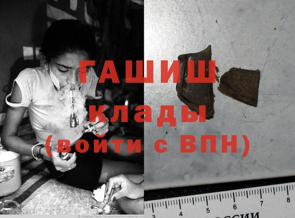 индика Козловка