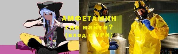 индика Козловка