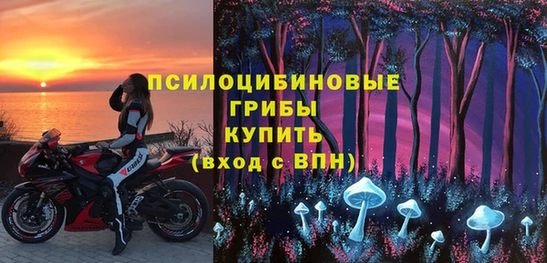 дурь Козельск