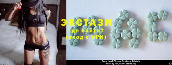 индика Козловка