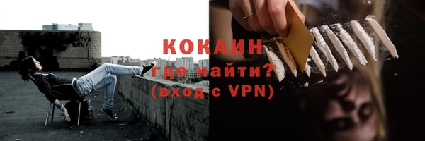 индика Козловка