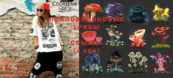 индика Козловка