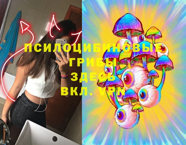 дурь Козельск