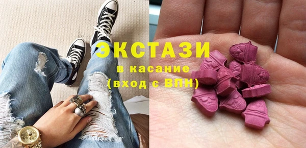 индика Козловка