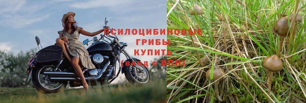 индика Козловка