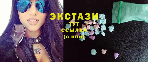 индика Козловка