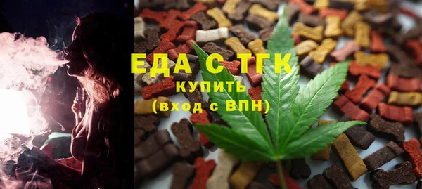 индика Козловка
