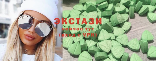 индика Козловка