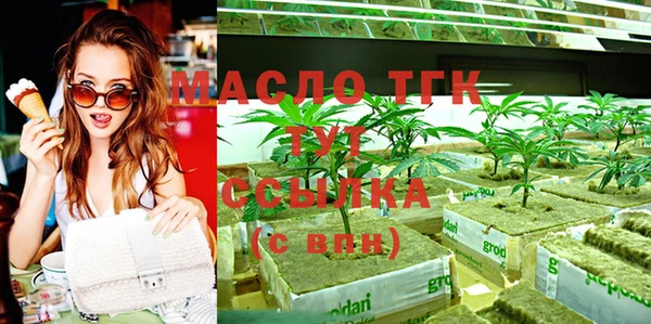 индика Козловка