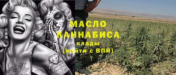 индика Козловка