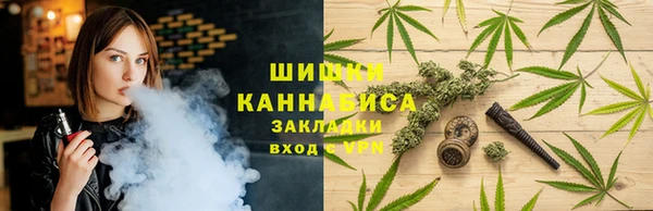 дмт Костерёво