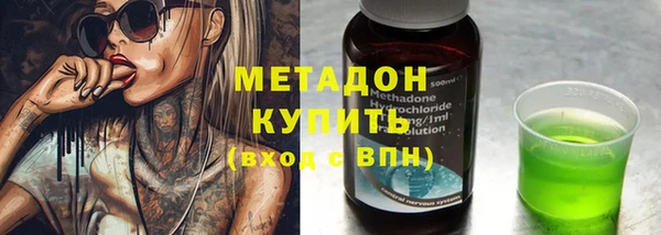 индика Козловка